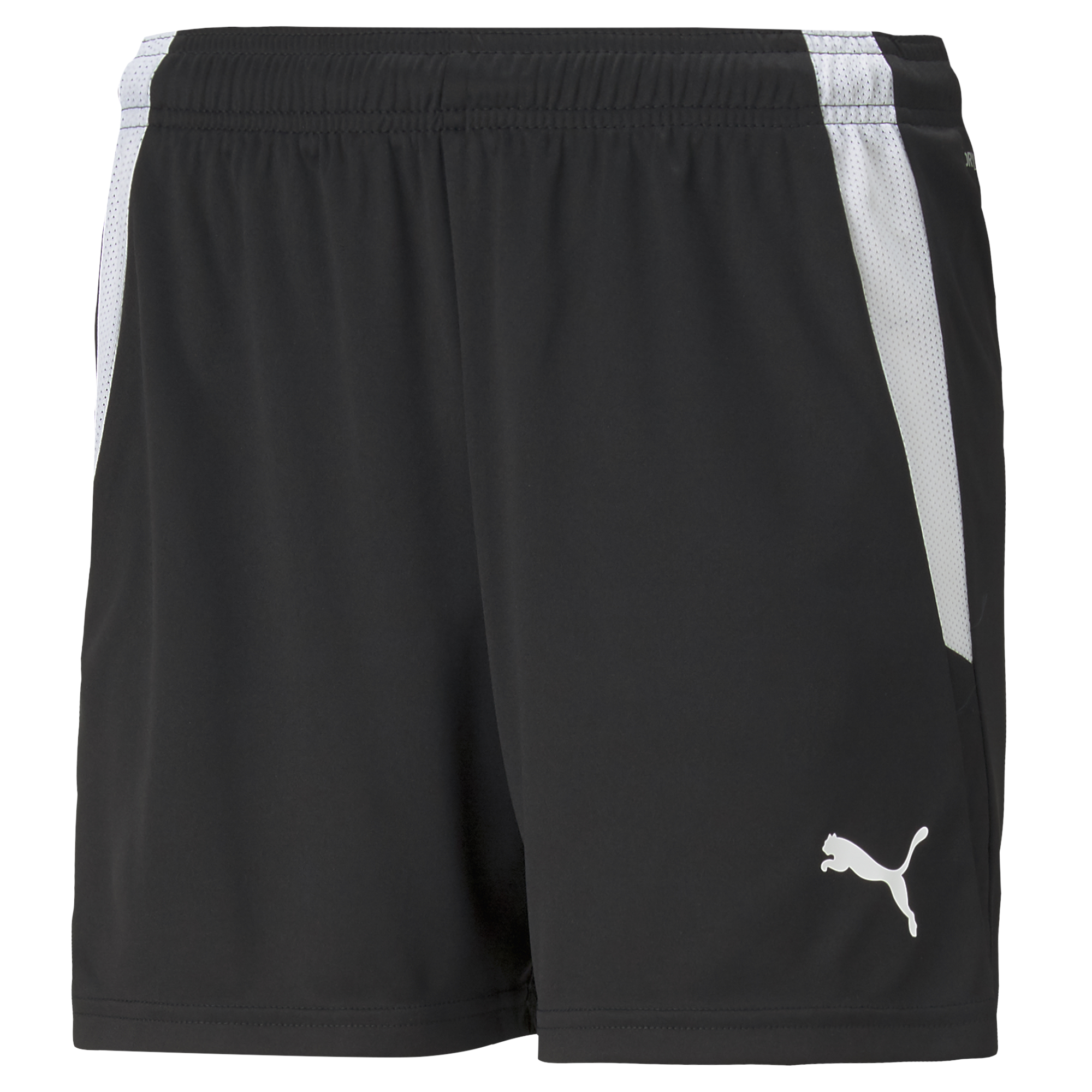 Puma Team Liga 25 Shorts Womens in black