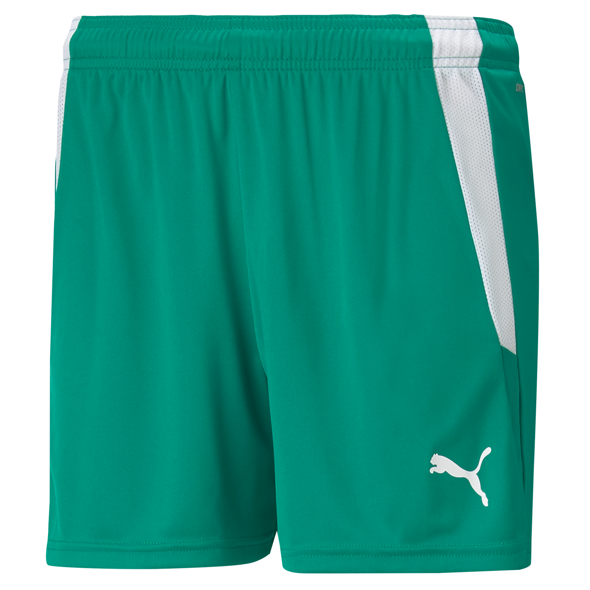 Puma Team Liga 25 Shorts Womens in pepper green