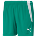 Puma Team Liga 25 Shorts Womens in pepper green