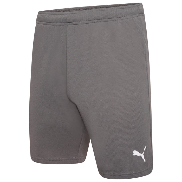 Puma Team Rise Shorts in Smoked Pearl/White