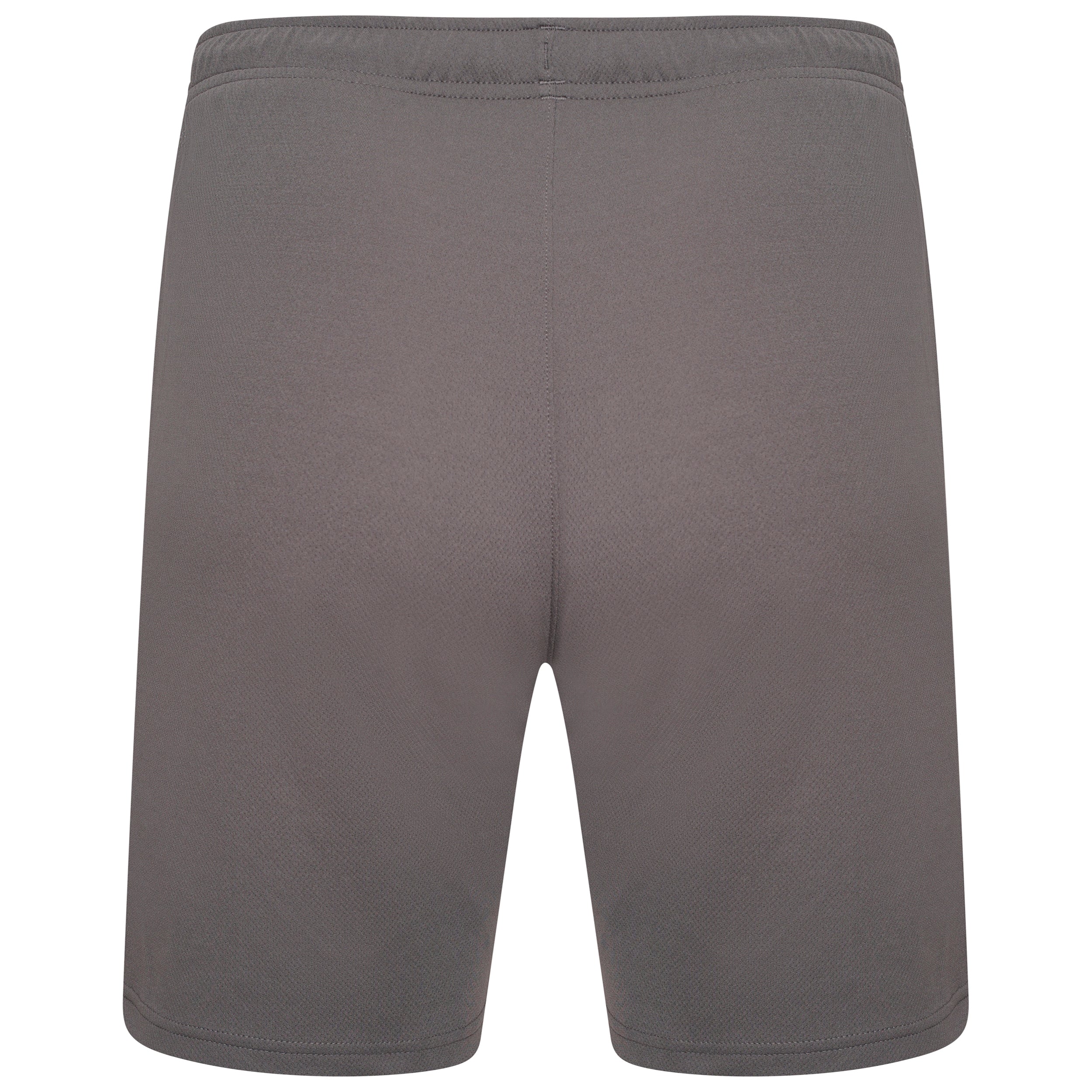 Puma Team Rise Shorts in Smoked Pearl/White