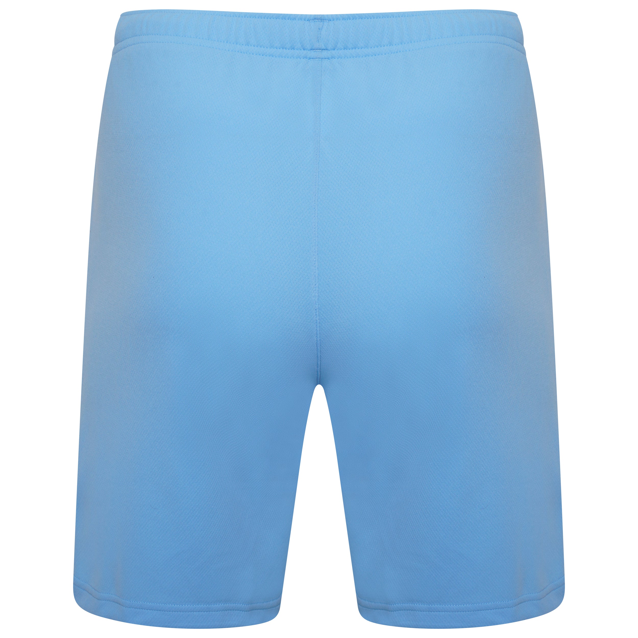 Puma Team Rise Shorts in Team Light Blue/White