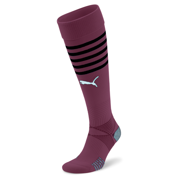 Puma TeamFINAL Socks