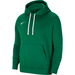 Nike Park 20 Hoodie in Pine Green/White