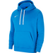 Nike Park 20 Hoodie in Royal Blue/White