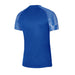 Nike Dri-Fit Jersey in Royal Blue/White/White