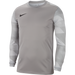 Nike Park IV Goalkeeper Shirt in Pewter Grey/White/Black