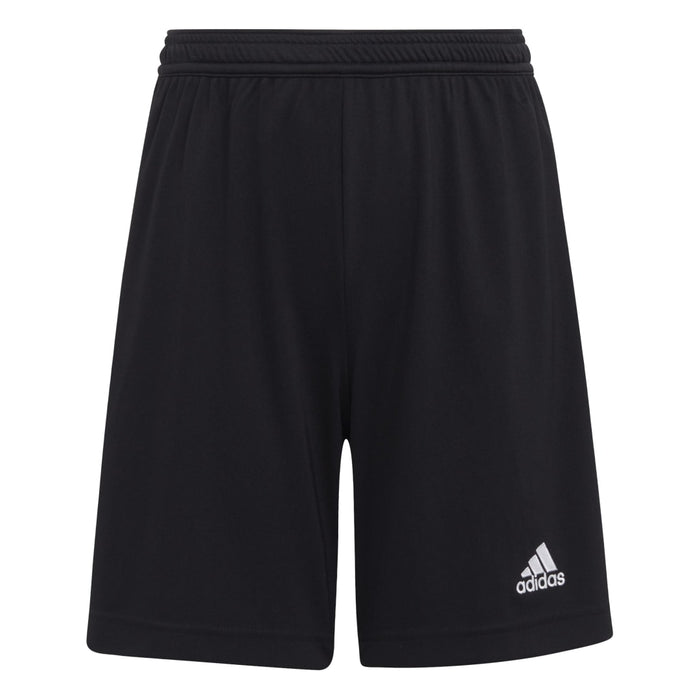 Grey mens adidas shorts shop
