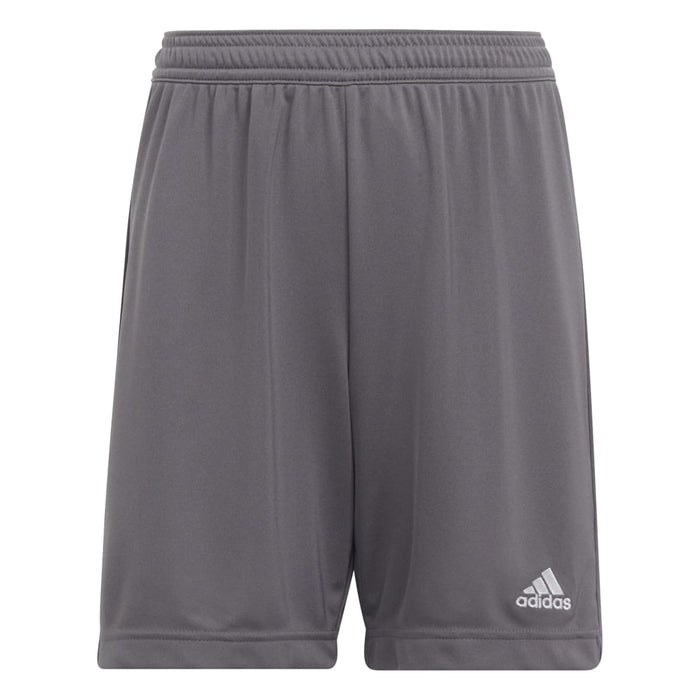 Adidas Entrada 22 Shorts in Team Grey Four