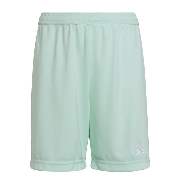 Adidas Entrada 22 Shorts in Clear Mint