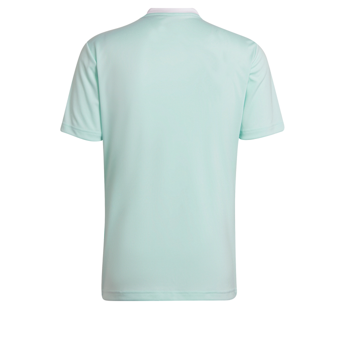 Adidas Entrada 22 Football Shirt Mint back