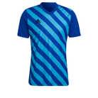 Adidas Entrada 22 Graphic Shirt in team royal blue and app sky rush