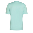 back of Adidas Entrada 22 Graphic Shirt in clear mint and team grey four