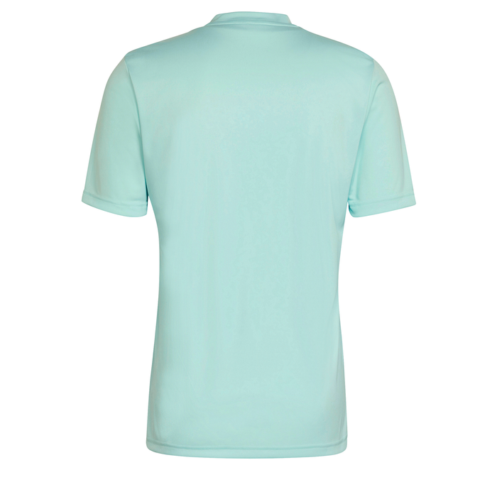 back of Adidas Entrada 22 Graphic Shirt in clear mint and team grey four