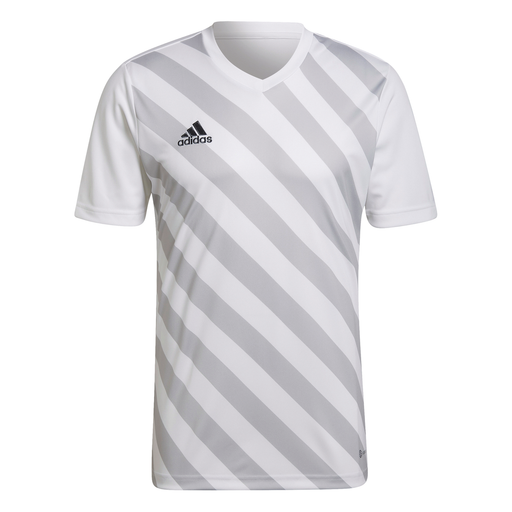 Adidas Entrada 22 Graphic Shirt in white/team light grey