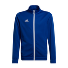 Adidas Entrada 22 Track Jacket in team royal blue