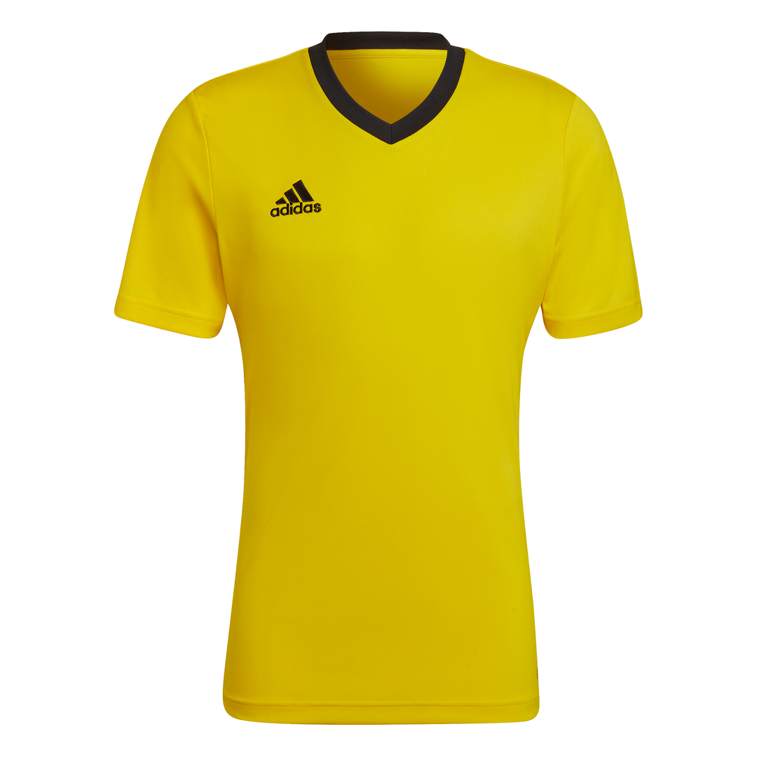 Adidas Entrada 22 Shirt in yellow
