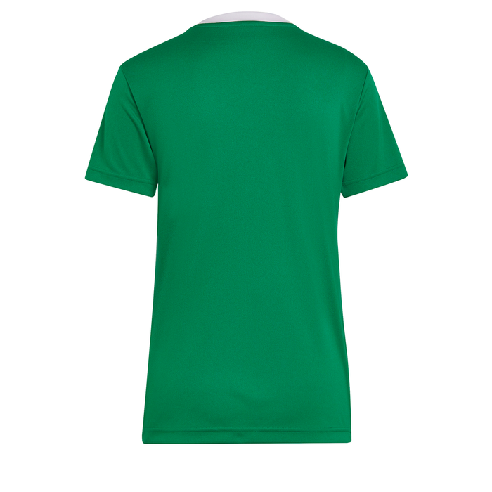 back of Adidas Entrada 22 Shirt Women's in team green