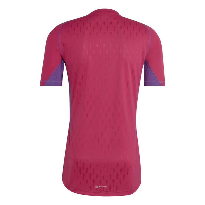 Adidas Tiro Pro 23 Short Sleeve Goalkeeper Jersey