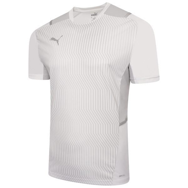 Puma TeamCUP Graphic Training Shirt 21